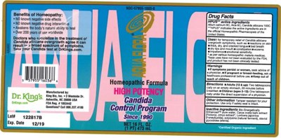 Image Description (High Potency)